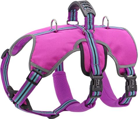 dog harness with handle amazon|More.